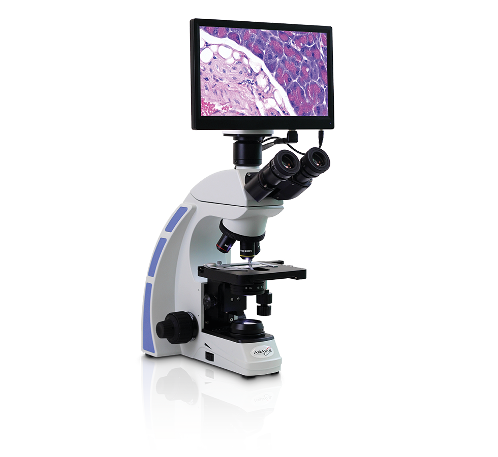 vetscan hdmicroscope digital imaging
